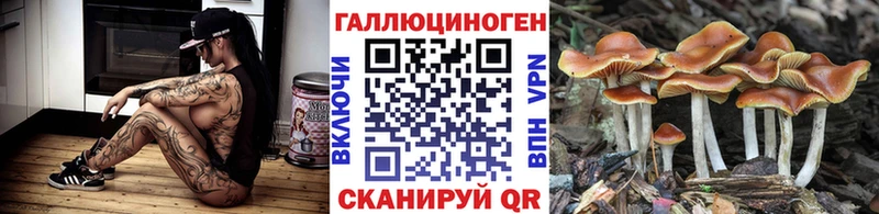 где купить наркотик  Белореченск  Псилоцибиновые грибы Psilocybine cubensis 