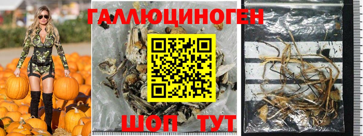 Галлюциногенные грибы Psilocybe  Галлюциногенные грибы мицелий  Белореченск  Вход с VPN 